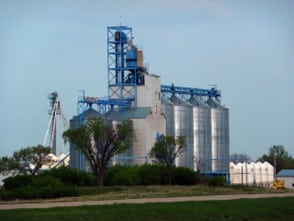 Grain silos with a dust collection system